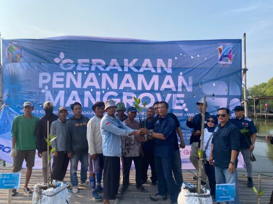 HUT ke-14, IWO Pusat dan Daerah Tanam Ribuan Mangrove di Tanjung Pasir Tangerang